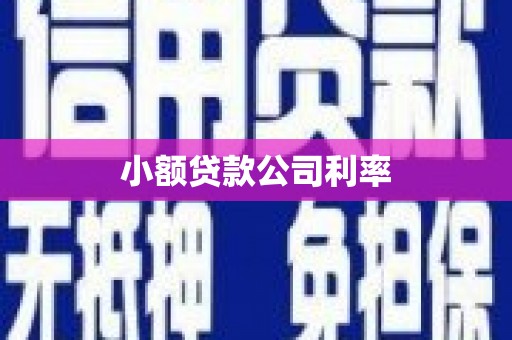 纳溪小额贷款公司利率