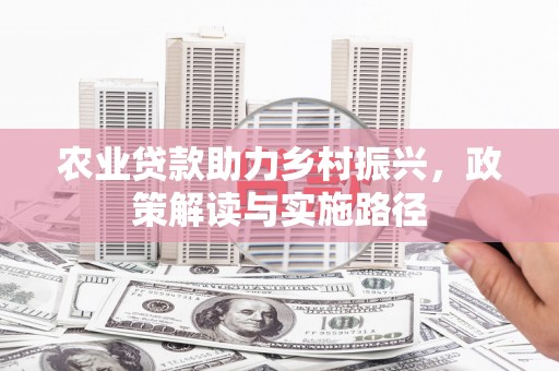 纳溪农业贷款助力乡村振兴，政策解读与实施路径