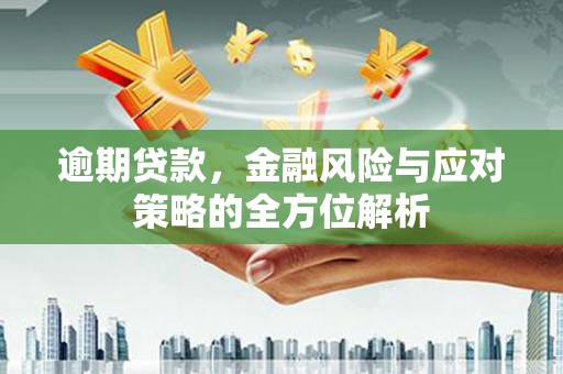 纳溪逾期贷款，金融风险与应对策略的全方位解析