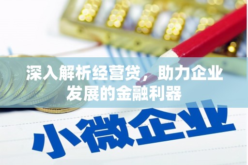 纳溪深入解析经营贷，助力企业发展的金融利器