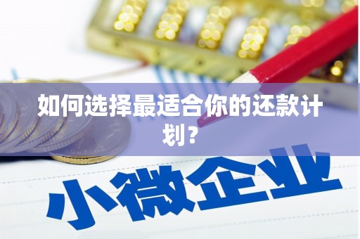 纳溪如何选择最适合你的还款计划？