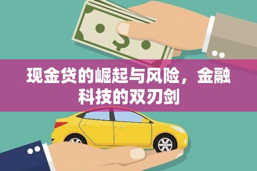 纳溪现金贷的崛起与风险，金融科技的双刃剑