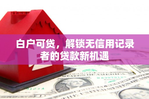 纳溪白户可贷，解锁无信用记录者的贷款新机遇