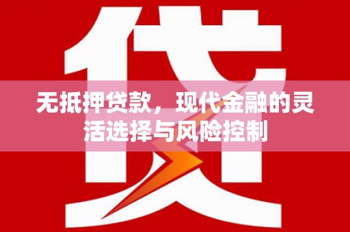 纳溪无抵押贷款，现代金融的灵活选择与风险控制
