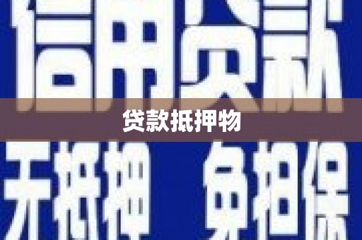 纳溪贷款抵押物
