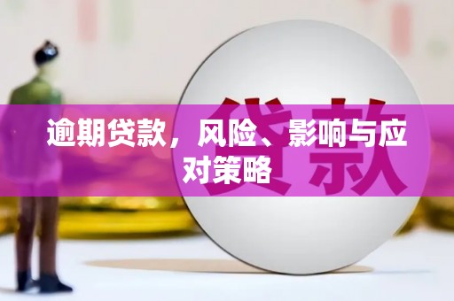 纳溪逾期贷款，风险、影响与应对策略