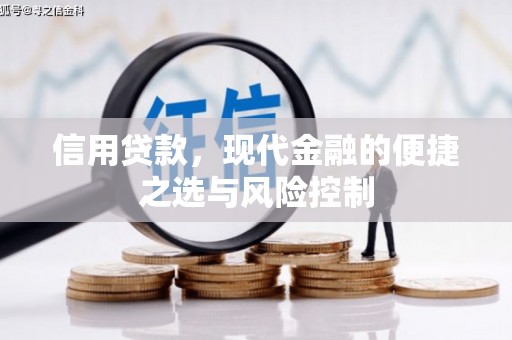 纳溪信用贷款，现代金融的便捷之选与风险控制