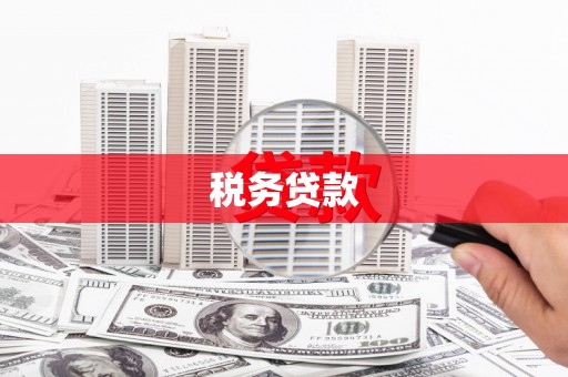 纳溪税务贷款