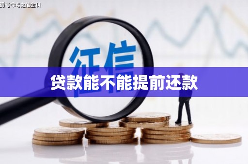 纳溪贷款能不能提前还款
