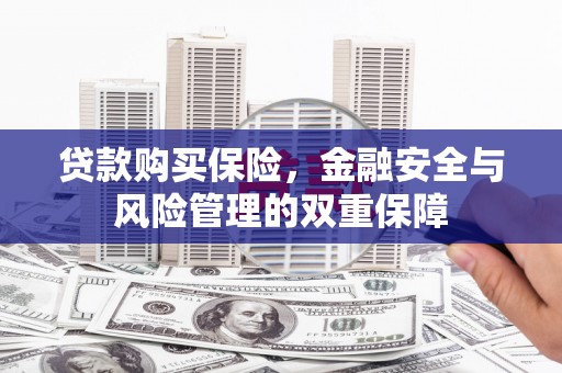 纳溪贷款购买保险，金融安全与风险管理的双重保障