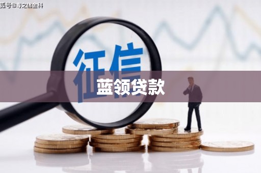 纳溪蓝领贷款