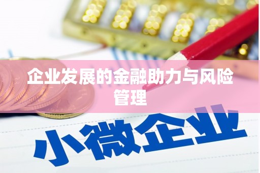 纳溪企业发展的金融助力与风险管理