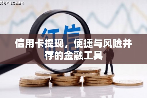 纳溪信用卡提现，便捷与风险并存的金融工具