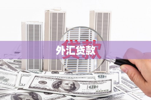 纳溪外汇贷款