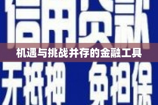 纳溪机遇与挑战并存的金融工具