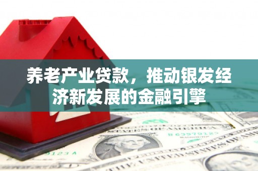纳溪养老产业贷款，推动银发经济新发展的金融引擎
