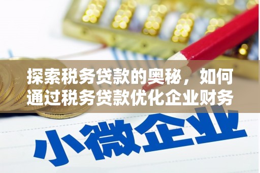 纳溪探索税务贷款的奥秘，如何通过税务贷款优化企业财务