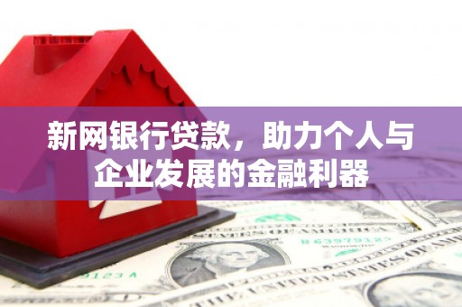 纳溪新网银行贷款，助力个人与企业发展的金融利器