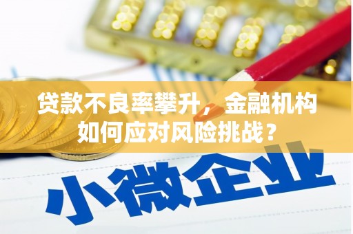 纳溪贷款不良率攀升，金融机构如何应对风险挑战？