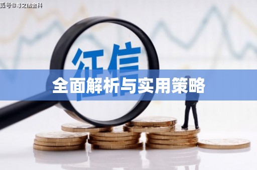 纳溪全面解析与实用策略