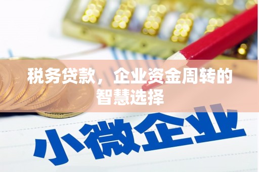 纳溪税务贷款，企业资金周转的智慧选择