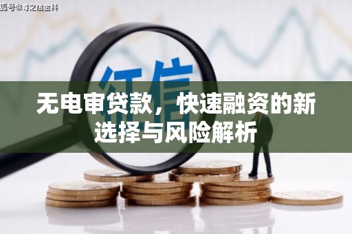 纳溪无电审贷款，快速融资的新选择与风险解析