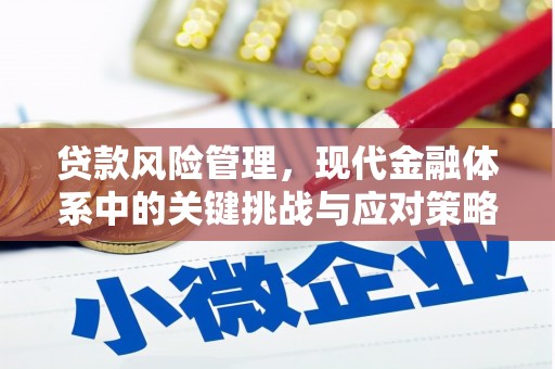纳溪贷款风险管理，现代金融体系中的关键挑战与应对策略