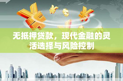 纳溪无抵押贷款，现代金融的灵活选择与风险控制
