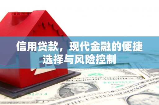 纳溪信用贷款，现代金融的便捷选择与风险控制