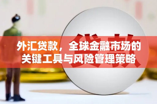 纳溪外汇贷款，全球金融市场的关键工具与风险管理策略
