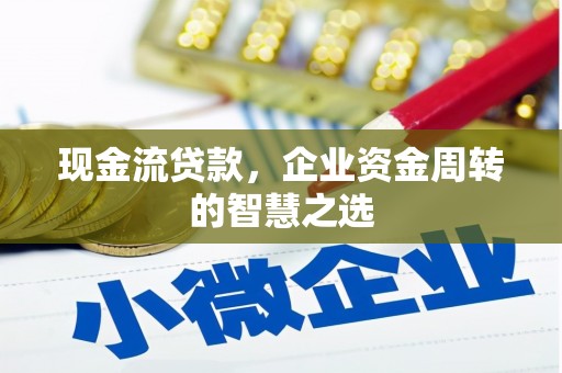 纳溪现金流贷款，企业资金周转的智慧之选