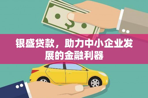 纳溪银盛贷款，助力中小企业发展的金融利器