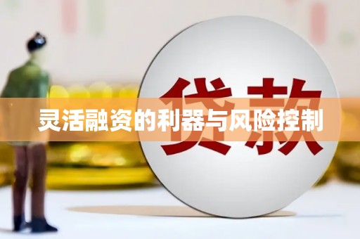 纳溪灵活融资的利器与风险控制