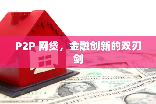 纳溪P2P 网贷，金融创新的双刃剑