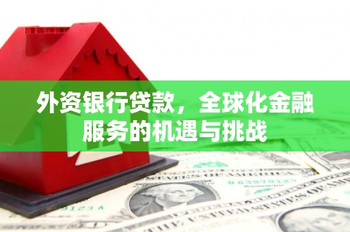 纳溪外资银行贷款，全球化金融服务的机遇与挑战