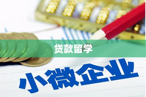纳溪贷款留学