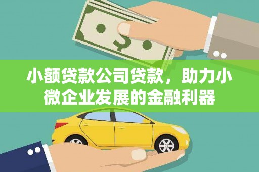 纳溪小额贷款公司贷款，助力小微企业发展的金融利器