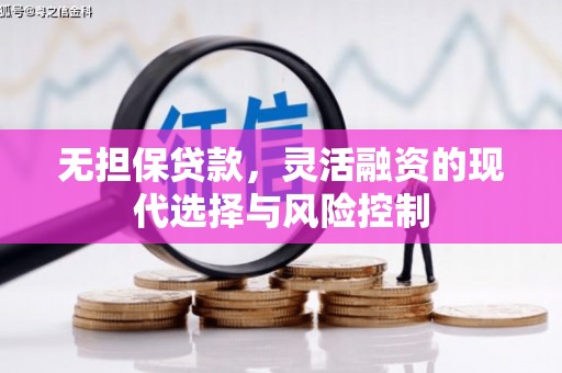 纳溪无担保贷款，灵活融资的现代选择与风险控制