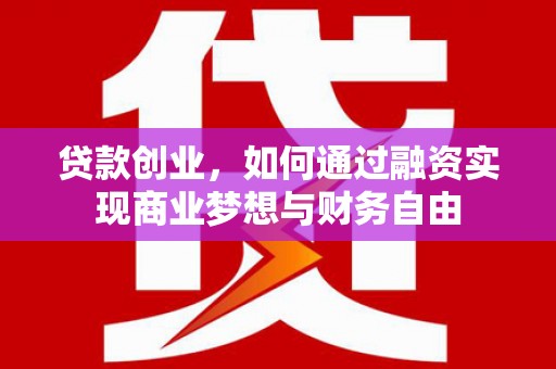 纳溪贷款创业，如何通过融资实现商业梦想与财务自由