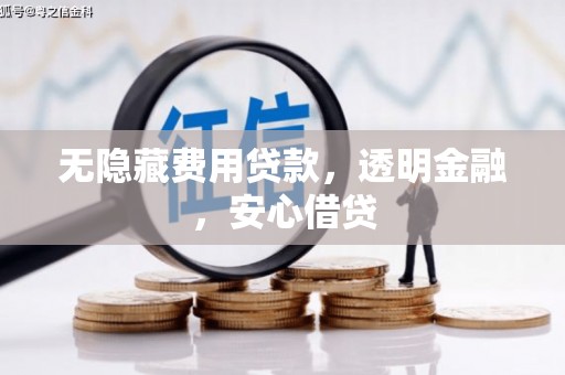 纳溪无隐藏费用贷款，透明金融，安心借贷