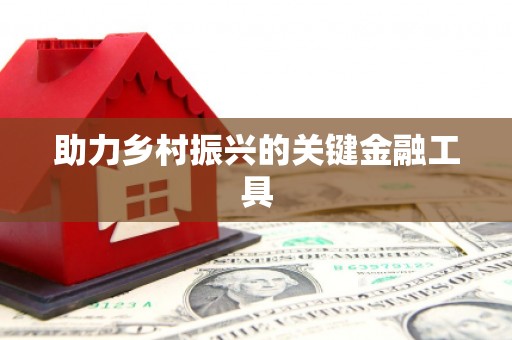 纳溪助力乡村振兴的关键金融工具