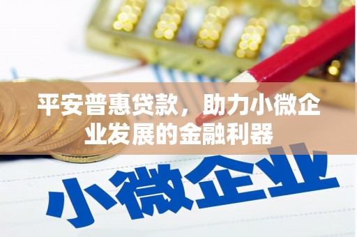 纳溪平安普惠贷款，助力小微企业发展的金融利器