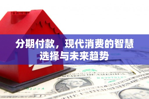 纳溪分期付款，现代消费的智慧选择与未来趋势