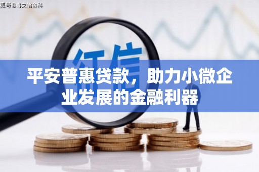 纳溪平安普惠贷款，助力小微企业发展的金融利器