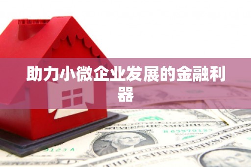 纳溪助力小微企业发展的金融利器