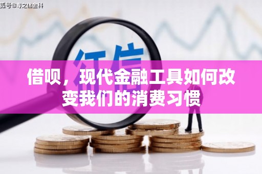 纳溪借呗，现代金融工具如何改变我们的消费习惯