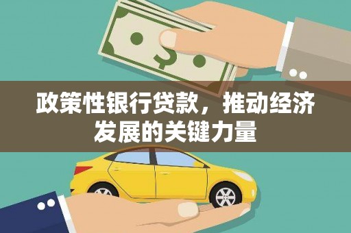 纳溪政策性银行贷款，推动经济发展的关键力量