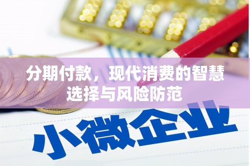 纳溪分期付款，现代消费的智慧选择与风险防范
