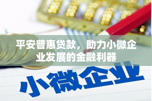 纳溪平安普惠贷款，助力小微企业发展的金融利器