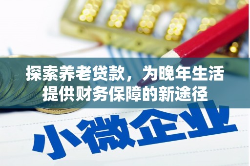 纳溪探索养老贷款，为晚年生活提供财务保障的新途径